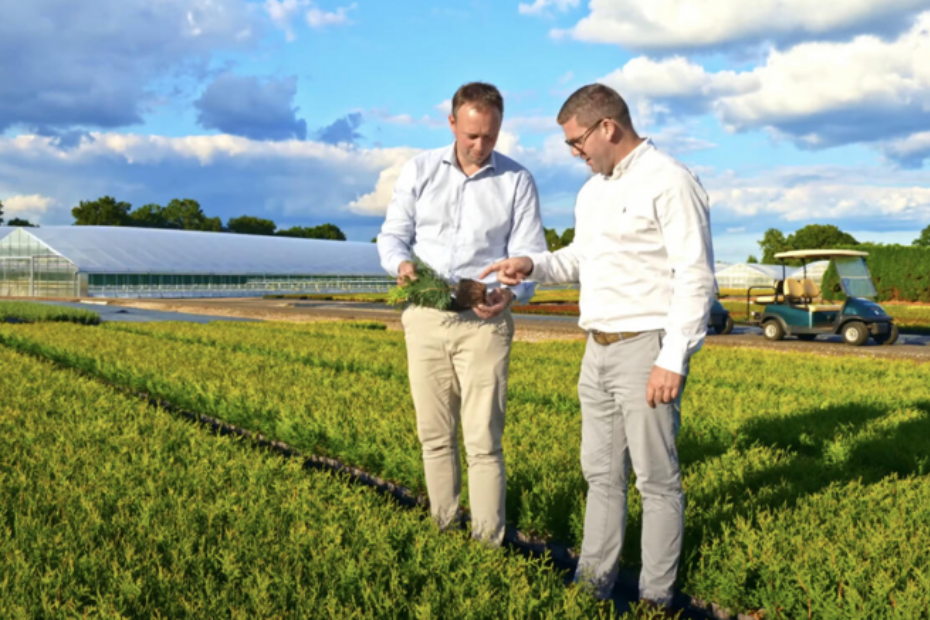 Christian Kordes (links) inspecteert jonge coniferen